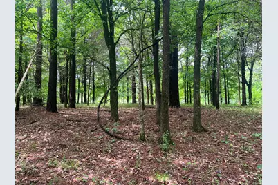 Lot 147 Parrish Ridge, Orangeville, IL 62939 - Photo 7
