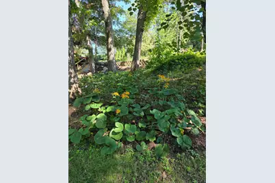 306 Woodlock Street, Ingleside, IL 60041 - Photo 69