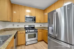 201 N Westshore Dr, Chicago, IL 60601 - Photo 13