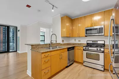 201 N Westshore Drive #1006, Chicago, IL 60601 - Photo 11