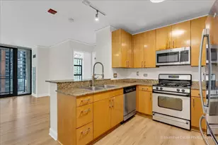 201 N Westshore Dr, Chicago, IL 60601 - Photo 11