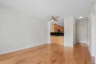 1133 S State St, Chicago, IL 60605 - Photo 9