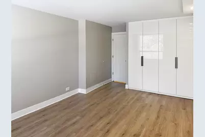 1355 N Sandburg Terrace #206D, Chicago, IL 60610 - Photo 13
