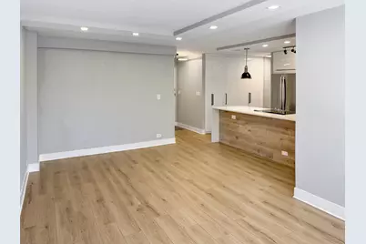 1355 N Sandburg Terrace #206D, Chicago, IL 60610 - Photo 3