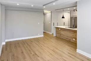 1355 N Sandburg Terrace, Chicago, IL 60610 - Photo 3