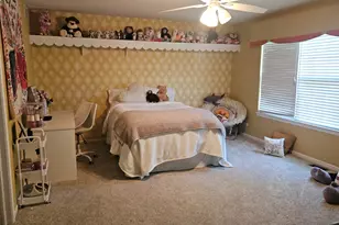 26602 Grande Poplar Ct, Plainfield, IL 60585 - Photo 15