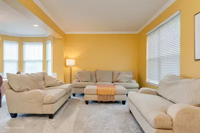 26602 Grande Poplar Court, Plainfield, IL 60585 - Photo 3
