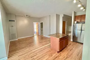 41 E 8th St, Chicago, IL 60605 - Photo 13