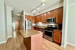 41 E 8th St, Chicago, IL 60605 - Photo 5