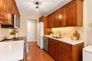 6833 N Kedzie Ave, Chicago, IL 60645 - Photo 25