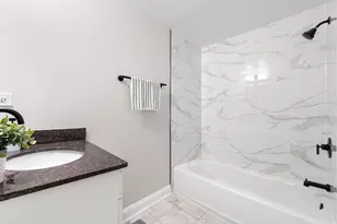 19 E 26th St, Chicago, IL 60616 - Photo 11