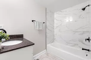 19 E 26th St, Chicago, IL 60616 - Photo 11