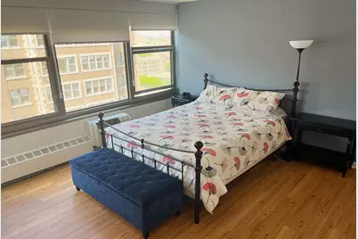 360 W Wellington Avenue #13D, Chicago, IL 60657 - Photo 5