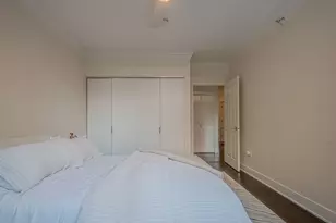 635 N Dearborn St, Chicago, IL 60654 - Photo 23