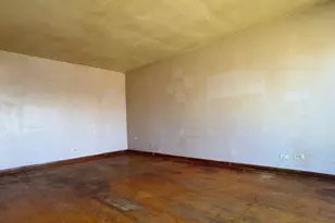 3709 W 66th Pl, Chicago, IL 60629 - Photo 3