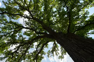 17049 W Edwards Rd, Antioch, IL 60002 - Photo 53