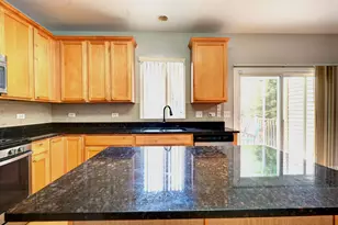 6 Forsythia Ct, Bolingbrook, IL 60490 - Photo 13
