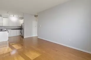 873 N Larrabee St, Chicago, IL 60610 - Photo 3
