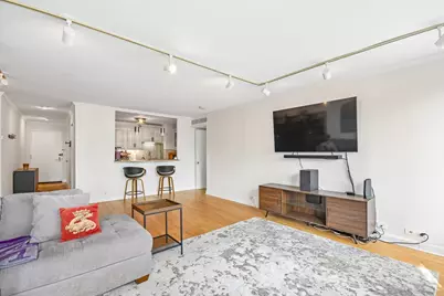260 E Chestnut Street #2505, Chicago, IL 60611 - Photo 9