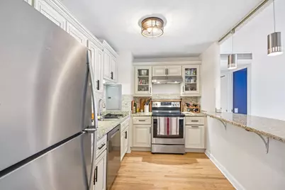 260 E Chestnut Street #2505, Chicago, IL 60611 - Photo 11