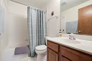21312 W Douglas Ln, Plainfield, IL 60544 - Photo 29