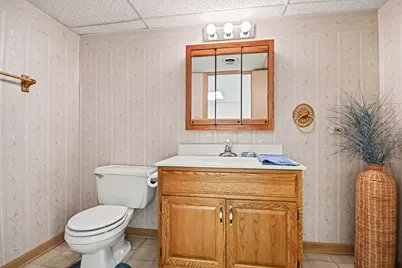 53 Village Woods Drive, Crete, IL 60417 - Photo 23