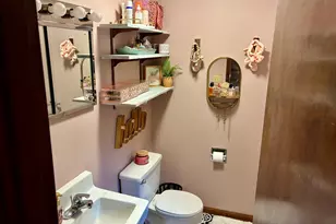 6 Blair Ct, Clifton, IL 61727 - Photo 15