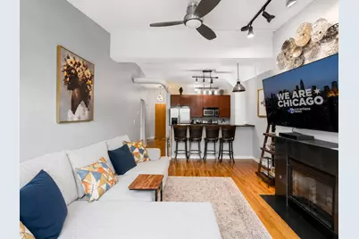 1033 W 14th Place #311, Chicago, IL 60608 - Photo 3