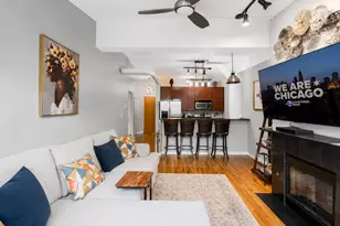 1033 W 14th Pl, Chicago, IL 60608 - Photo 3