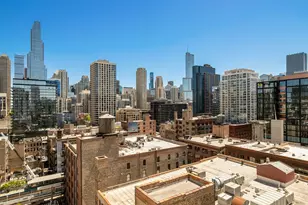 757 N Orleans St, Chicago, IL 60654 - Photo 17