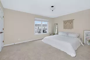 2908 Sibling Ct, Naperville, IL 60564 - Photo 27