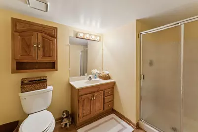 384 E Montrose Avenue, Wood Dale, IL 60191 - Photo 29