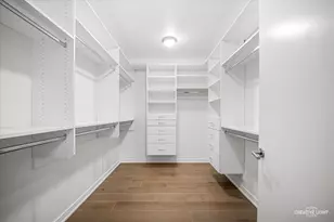 204 N Park Dr, Chicago, IL 60601 - Photo 15