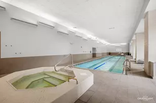 204 N Park Dr, Chicago, IL 60601 - Photo 37