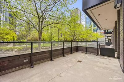 204 N Park Drive, Chicago, IL 60601 - Photo 9