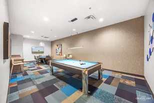 204 N Park Dr, Chicago, IL 60601 - Photo 33