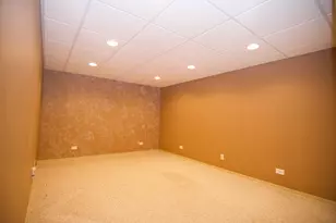 253 W Golfview Terrace, Palatine, IL 60067 - Photo 15