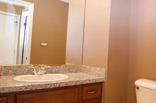253 W Golfview Terrace, Palatine, IL 60067 - Photo 11