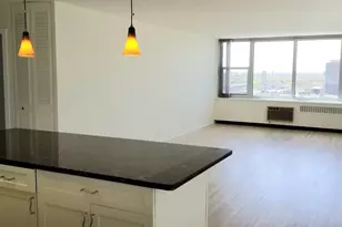 4250 N Marine Dr, Chicago, IL 60613 - Photo 25