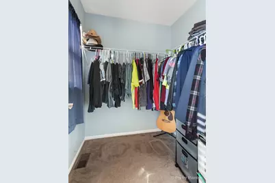 905 Shelter Island Lane, Pingree Grove, IL 60140 - Photo 17