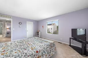 905 Shelter Island Ln, Pingree Grove, IL 60140 - Photo 21