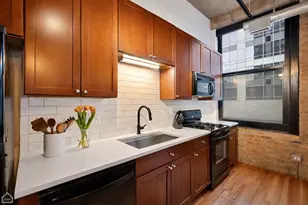 210 S Desplaines St, Chicago, IL 60661 - Photo 5