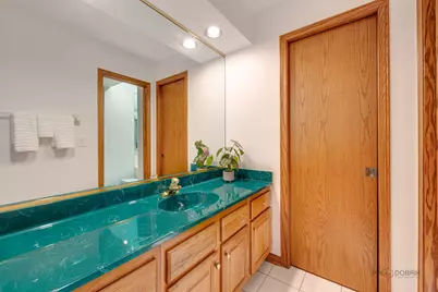 204 Linden Road S, Prospect Heights, IL 60070 - Photo 33