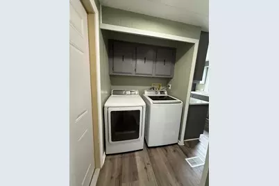 314 Briarbranch Road, Matteson, IL 60443 - Photo 13