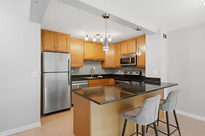 1255 N Sandburg Terrace #206, Chicago, IL 60610 - Photo 5