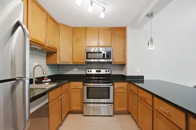 1255 N Sandburg Terrace #206, Chicago, IL 60610 - Photo 7