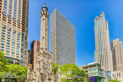 111 E Chestnut Street #48J, Chicago, IL 60611 - Photo 3