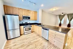1138 W Washburne Ave, Chicago, IL 60608 - Photo 5
