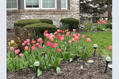 8629 Nancy Lane, Orland Park, IL 60462 - Photo 29