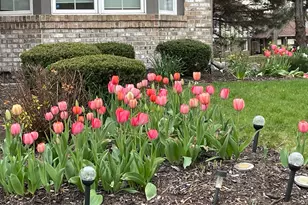 8629 Nancy Ln, Orland Park, IL 60462 - Photo 29